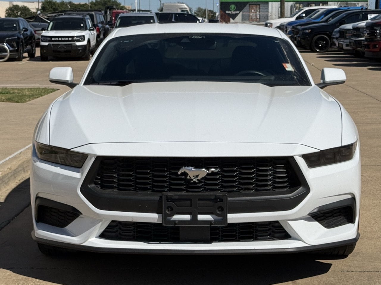 Certified 2025 Ford Mustang Premium RWD image 7