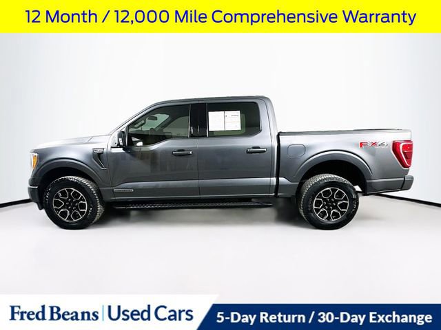 Certified 2021 Ford F150 XLT w/ Equipment Group 302A High video 2