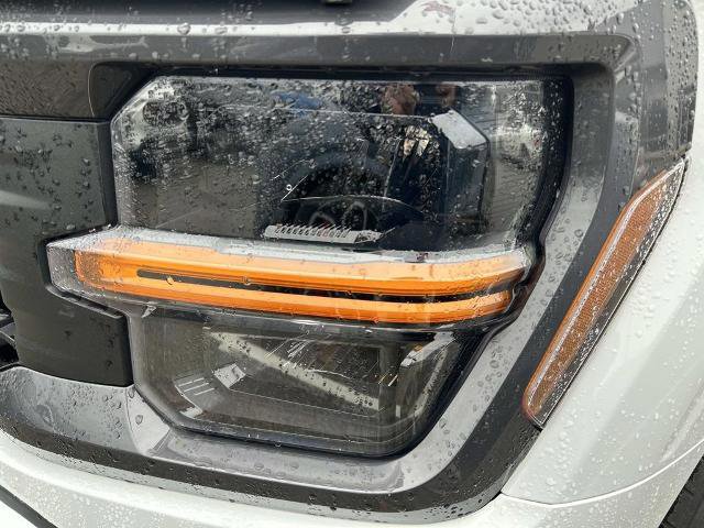 Certified 2025 Ford F150 STX w/ Equipment Group 200A image 9