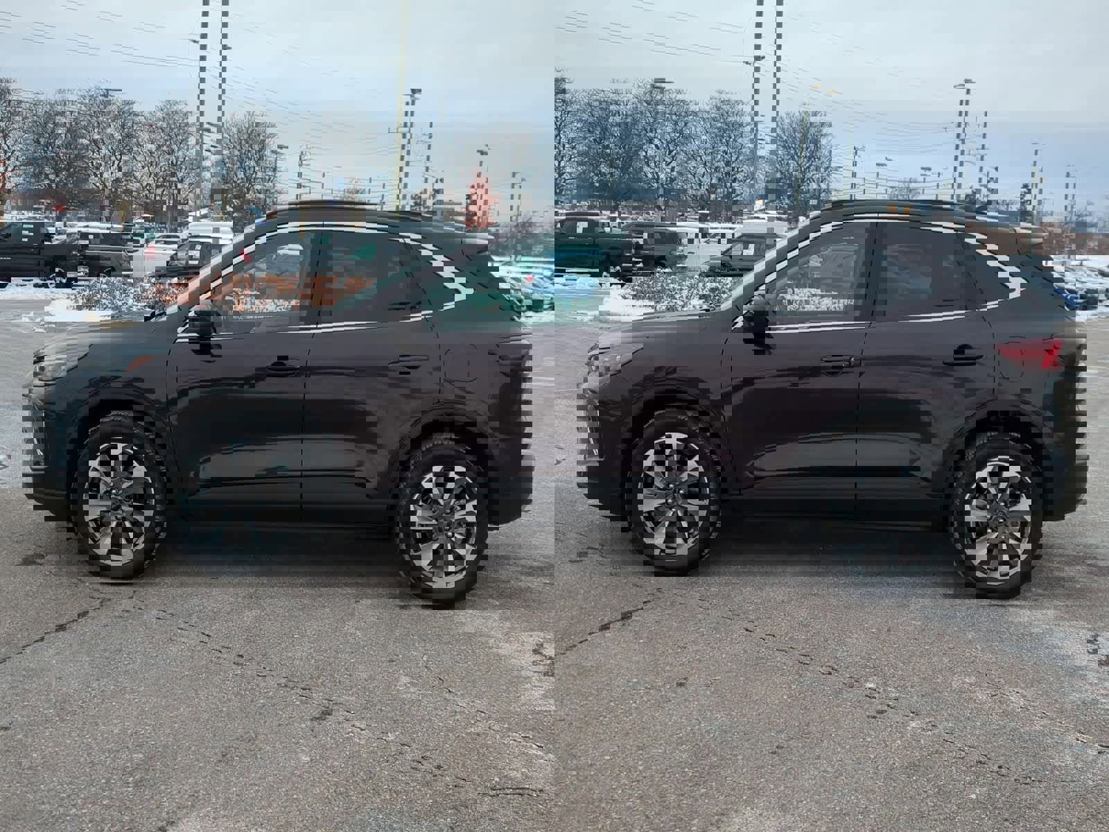 Certified 2023 Ford Escape Platinum w/ Premium Technology Package image 5