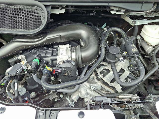 Certified 2025 Ford Transit 250 Low Roof w/ Exterior Upgrade Package RWD image 28