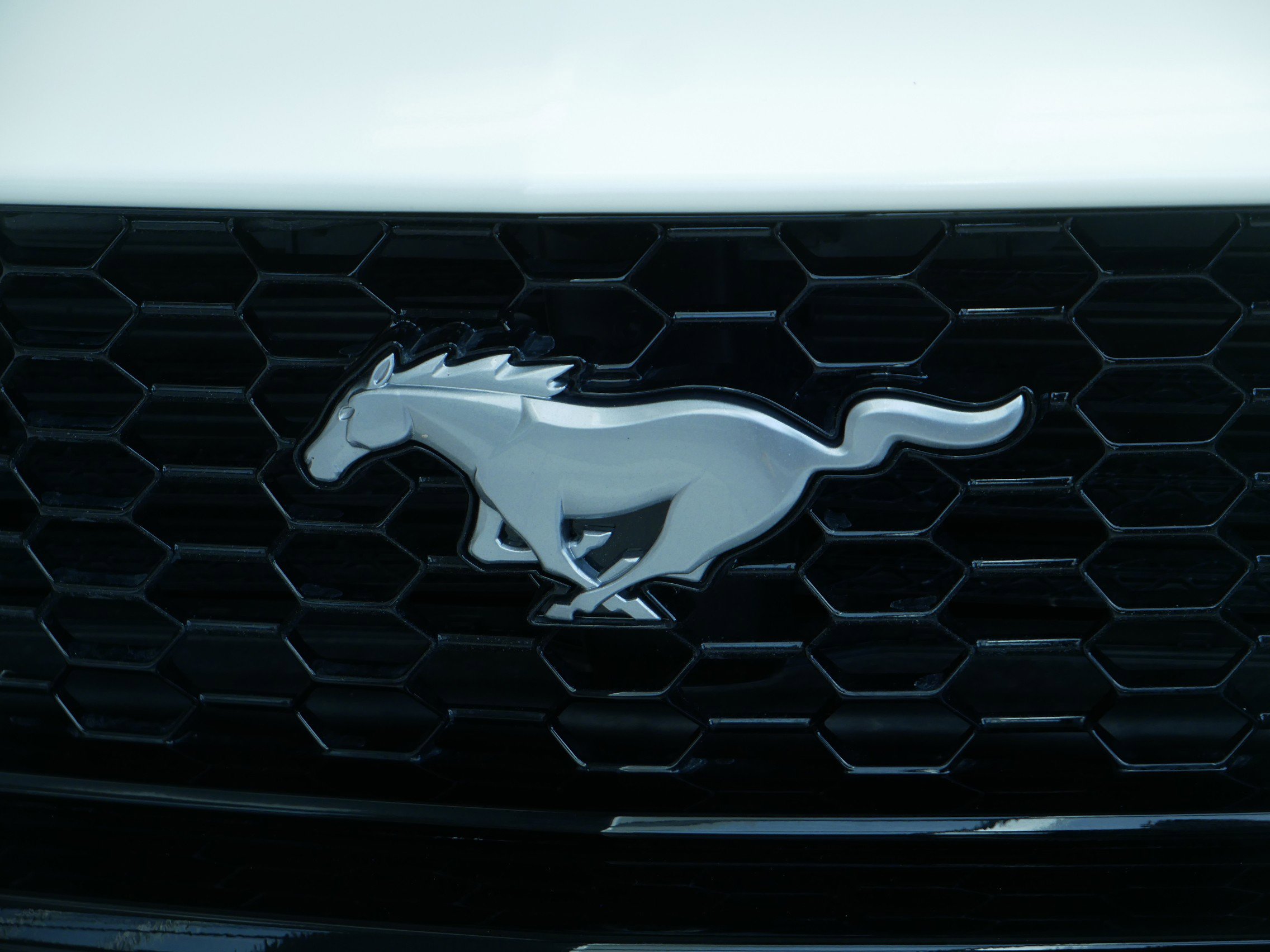 Certified 2025 Ford Mustang GT Premium w/ 60th Anniversary Package RWD image 4