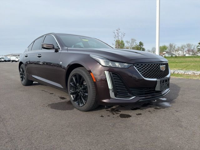 Used 2021 Cadillac CT5 Premium Luxury image 1