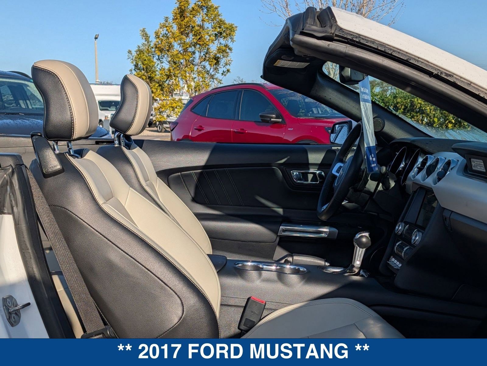 Certified 2017 Ford Mustang GT Premium image 13