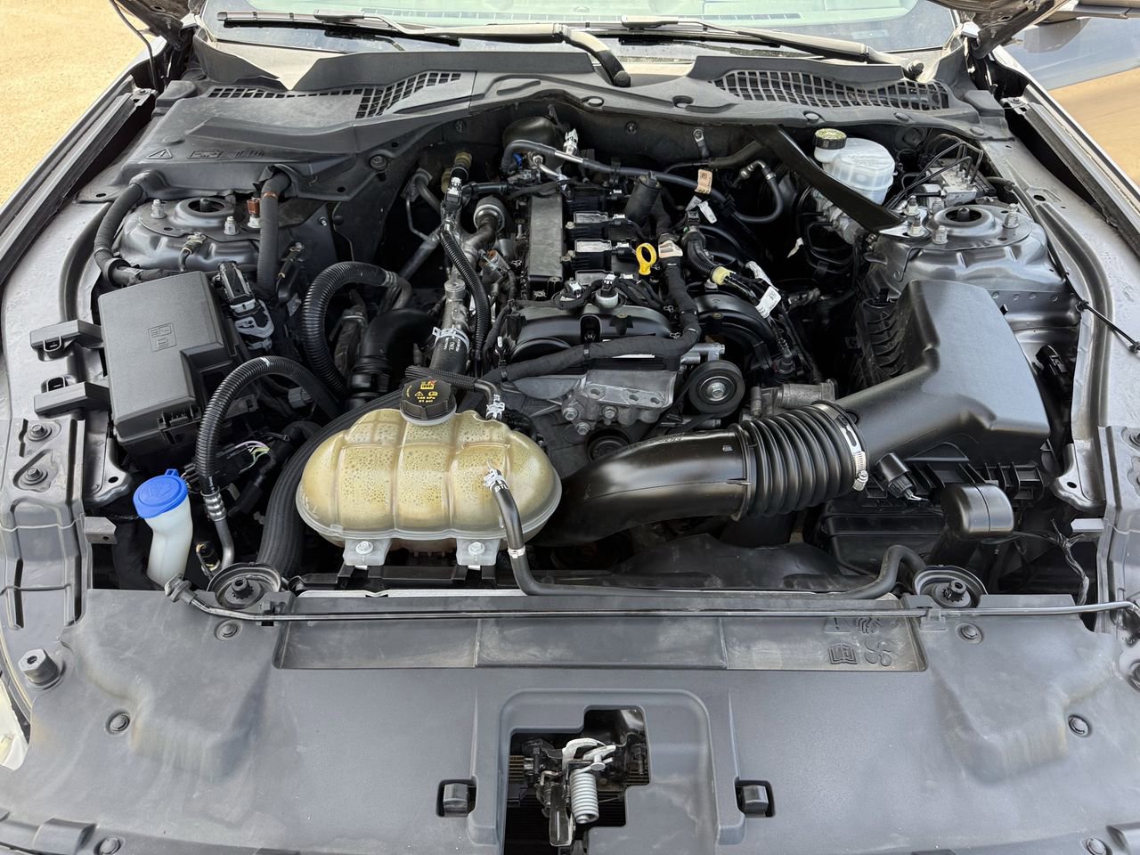 Certified 2021 Ford Mustang Premium RWD image 31
