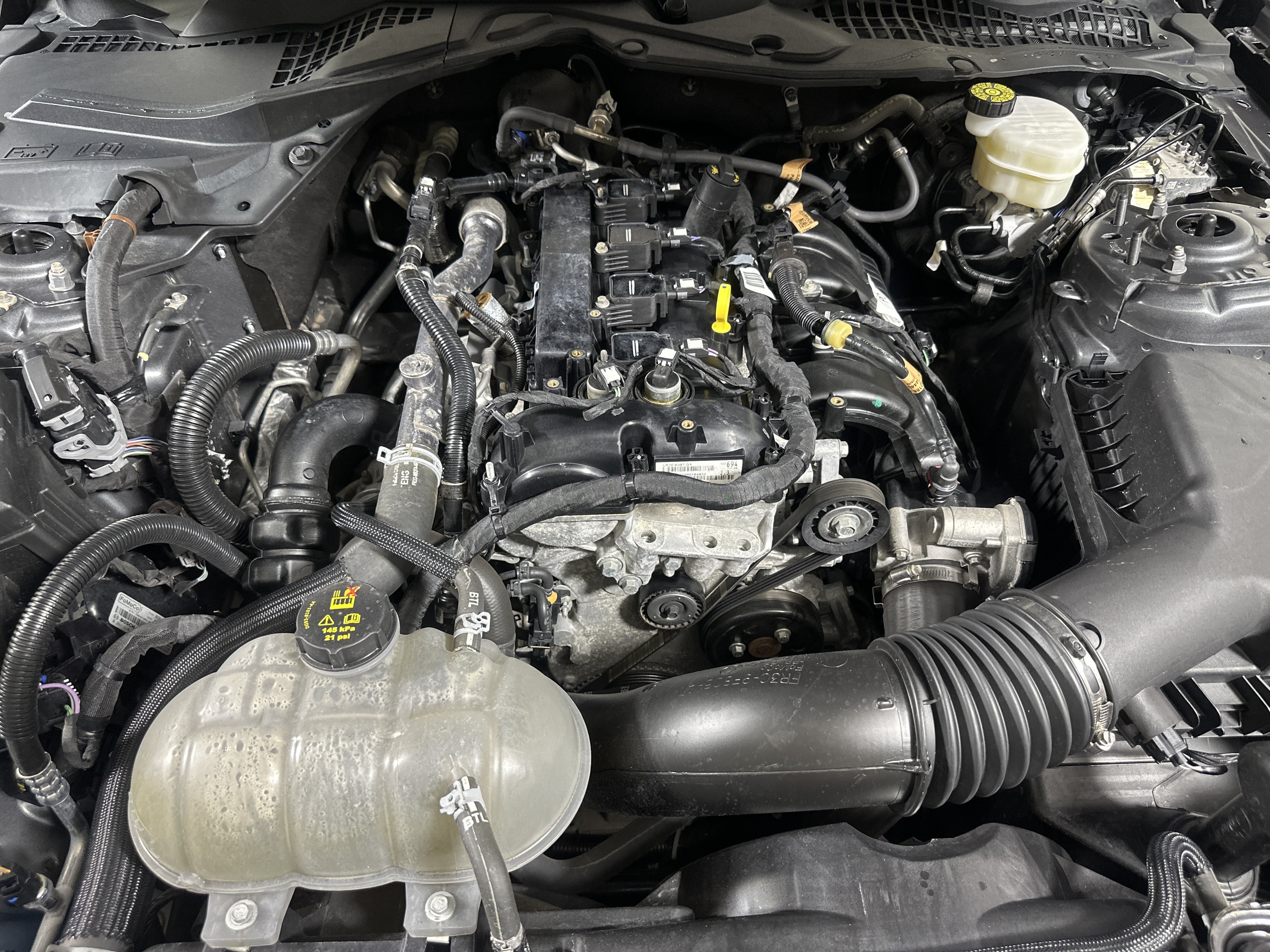 Certified 2022 Ford Mustang Coupe w/ Equipment Group 101A RWD image 26