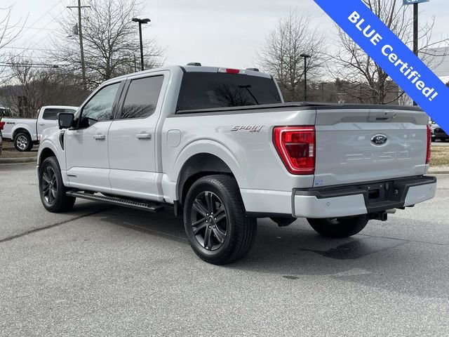 Certified 2023 Ford F150 XLT w/ Equipment Group 302A High image 3