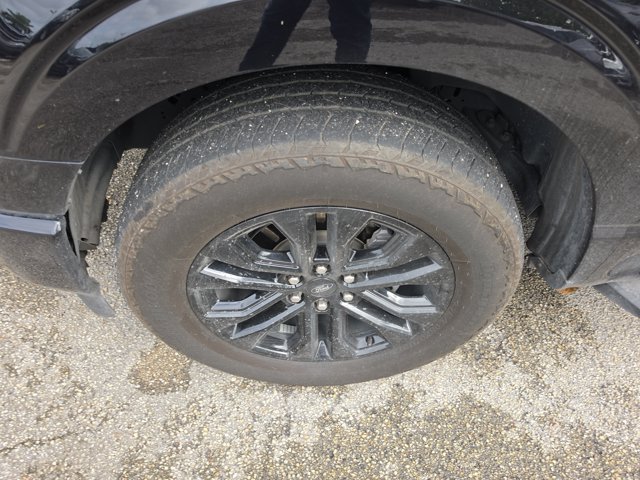 Certified 2023 Ford F150 XL w/ STX Appearance Package RWD image 6