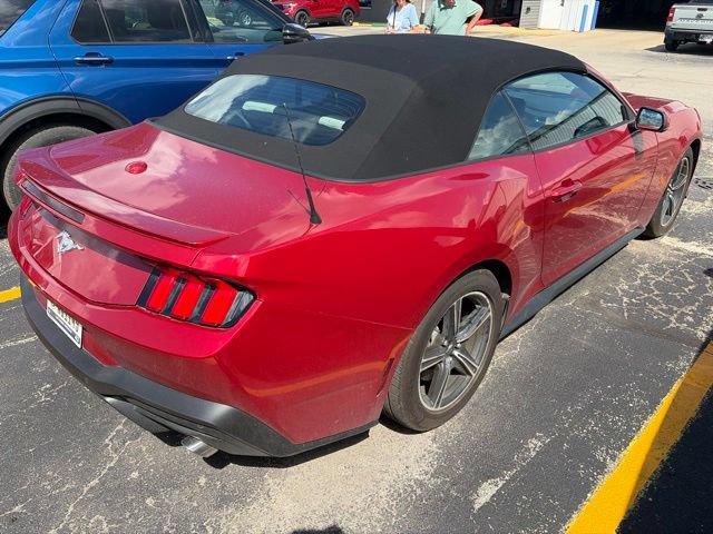 Certified 2024 Ford Mustang Premium RWD image 3