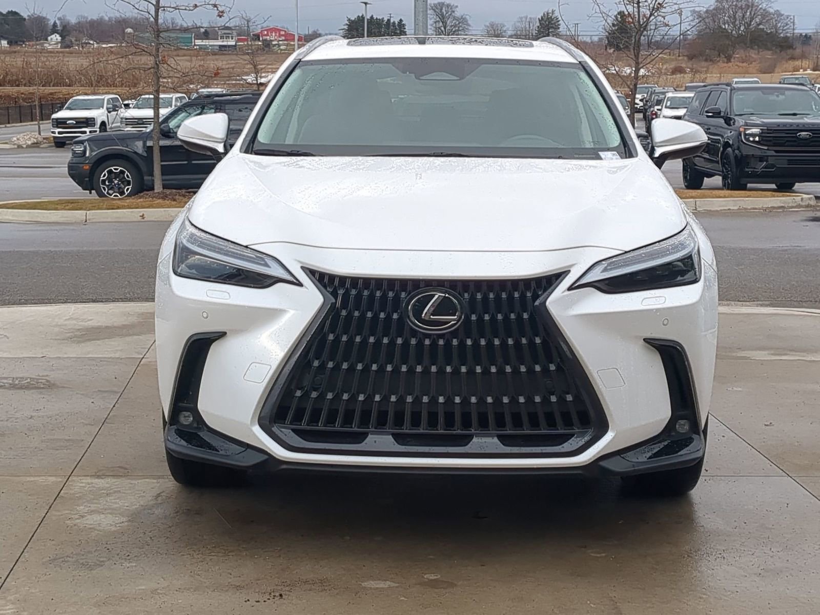 Used 2023 Lexus NX 350h AWD w/ Towing Package (2000 Lbs) image 12