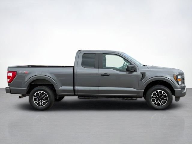 Certified 2023 Ford F150 XL w/ STX Appearance Package image 2