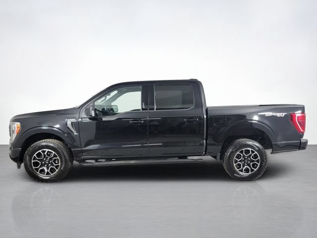 Certified 2023 Ford F150 XLT w/ Equipment Group 302A High AWD/4WD image 6