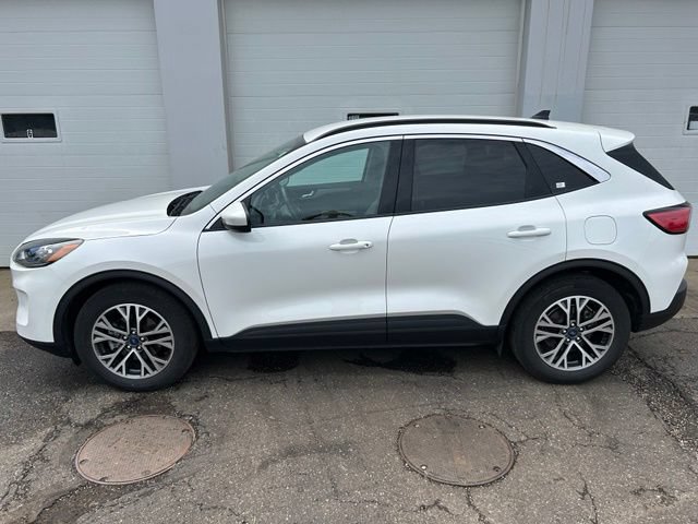 Certified 2020 Ford Escape SEL FWD image 3