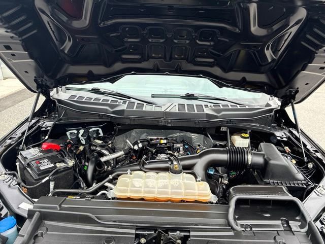 Certified 2023 Ford F150 XL w/ STX Appearance Package AWD/4WD image 17