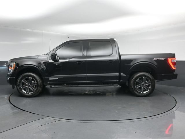 Certified 2023 Ford F150 Lariat w/ Equipment Group 502A High AWD/4WD image 4