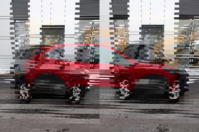 Certified 2025 Ford Escape Active w/ Active Premium Tech Pack image 6