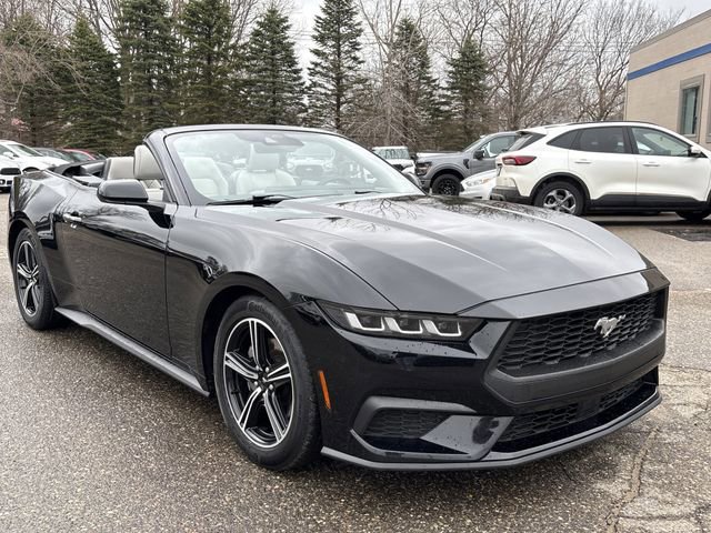 Certified 2024 Ford Mustang Premium image 3