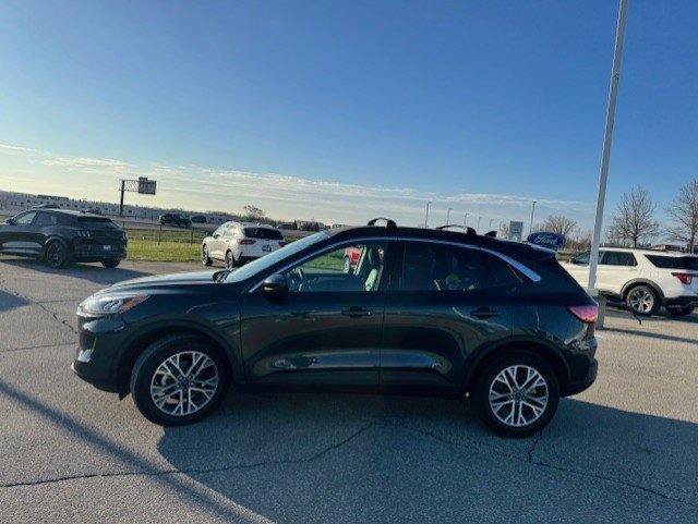 Certified 2022 Ford Escape SEL image 2