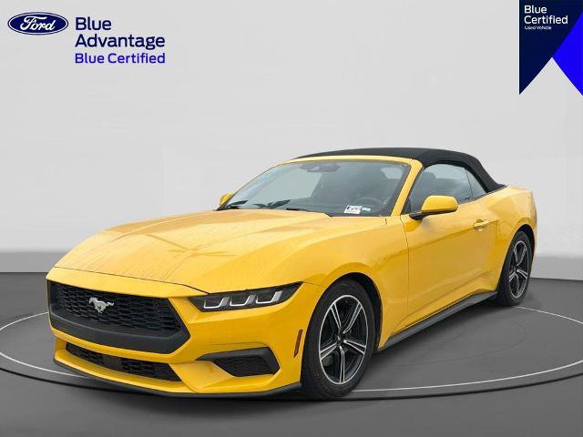 Certified 2024 Ford Mustang Premium RWD image 1