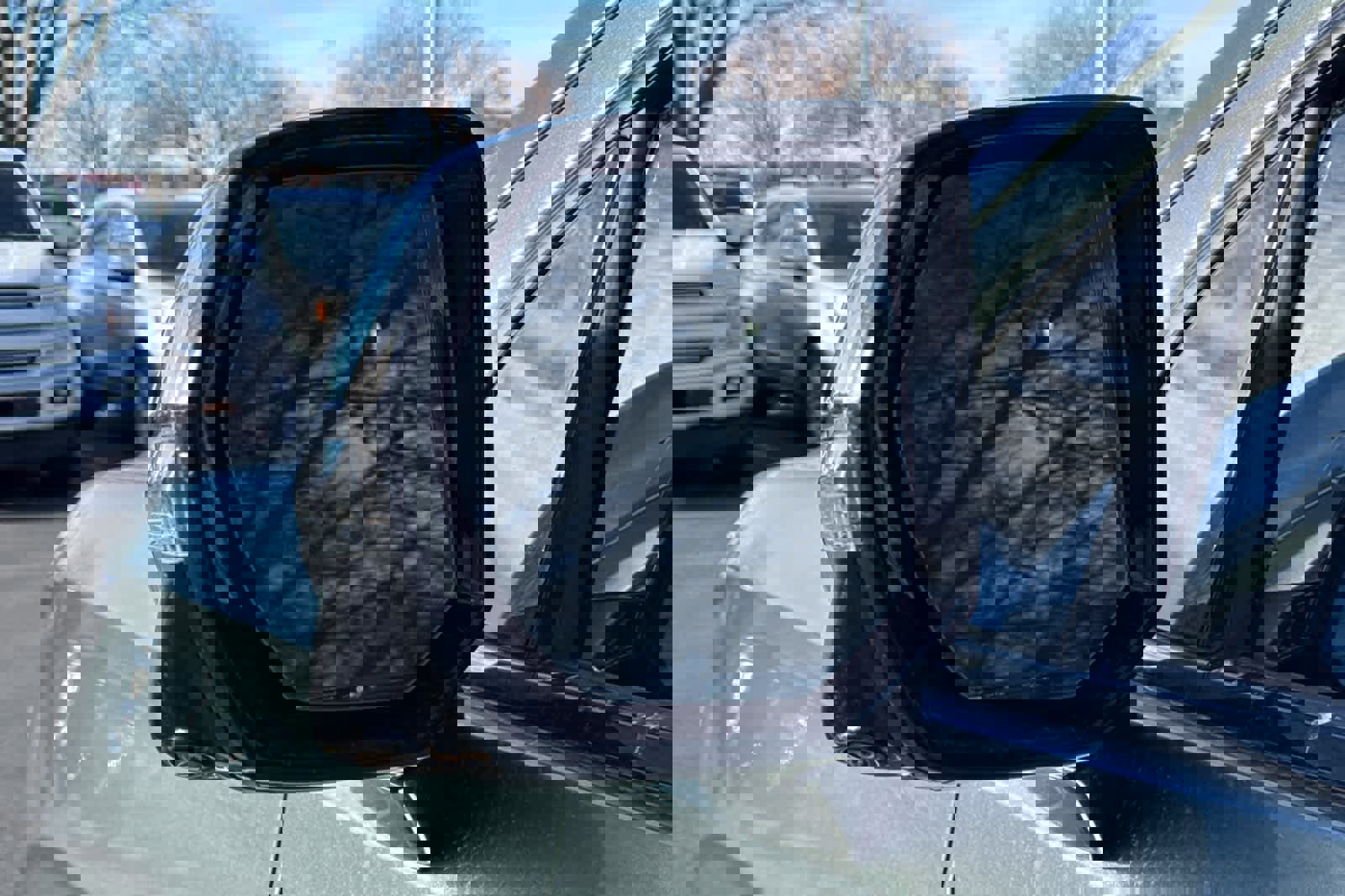 Used 2024 Chevrolet Tahoe Premier w/ Premium Package image 8