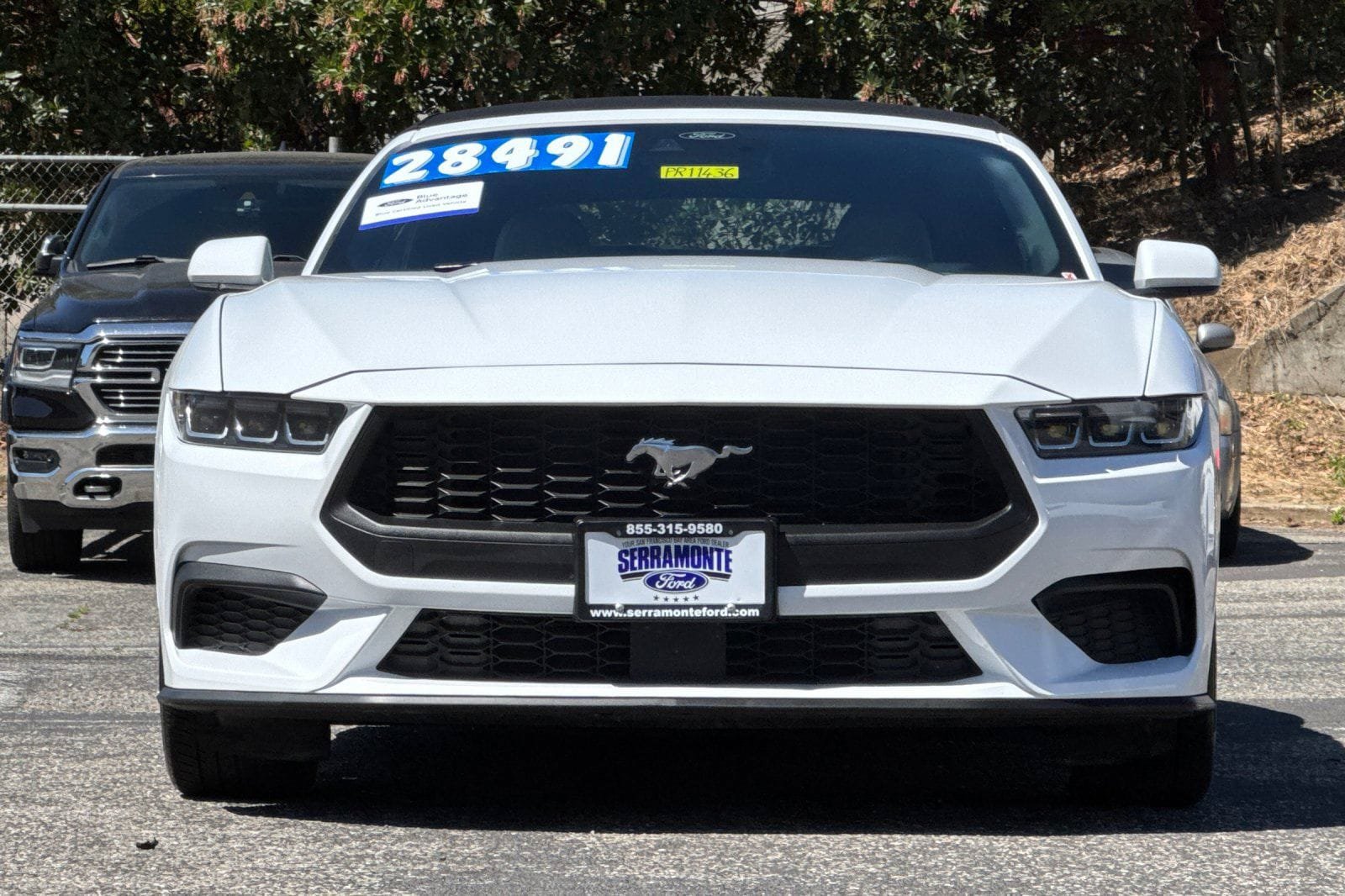 Certified 2024 Ford Mustang Premium RWD image 13