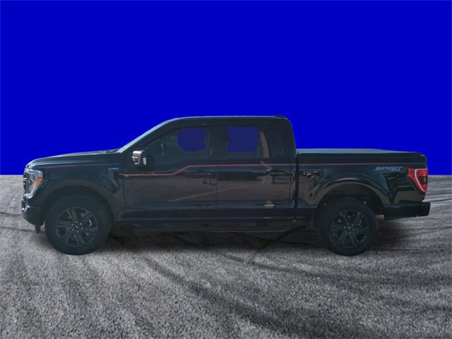 Certified 2023 Ford F150 XLT w/ Equipment Group 302A High image 2