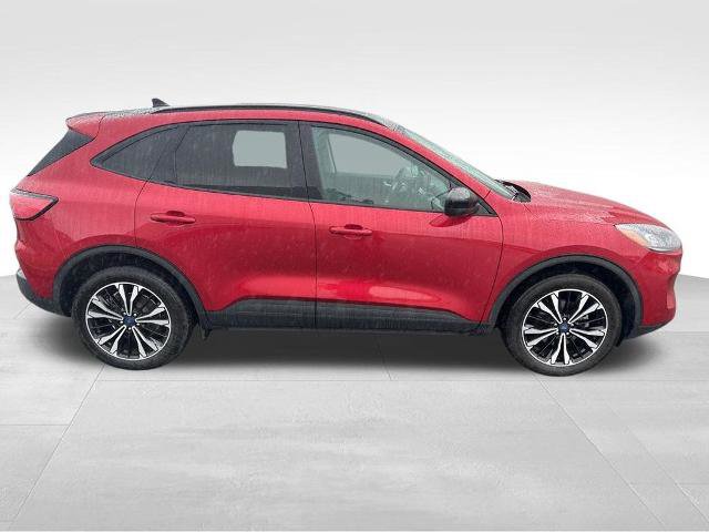Certified 2022 Ford Escape SEL w/ SEL Stealth AWD Package image 11