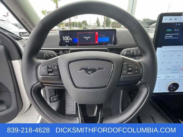 Certified 2024 Ford Mustang Mach-E Premium image 18