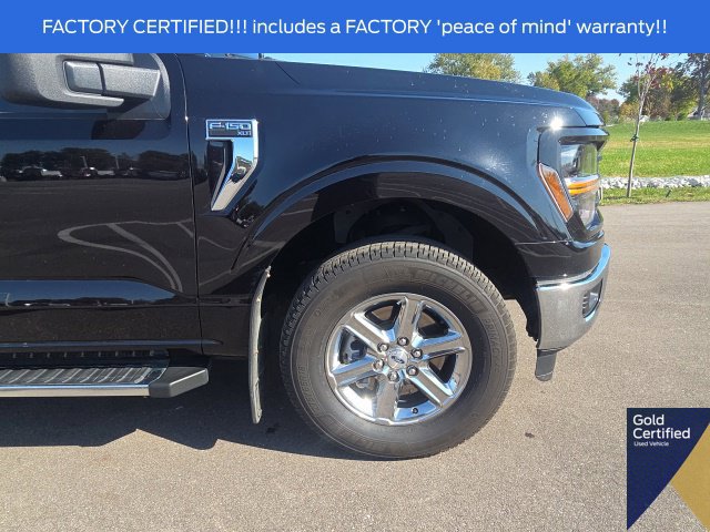 Certified 2025 Ford F150 XLT w/ Equipment Group 301A Standard AWD/4WD image 6