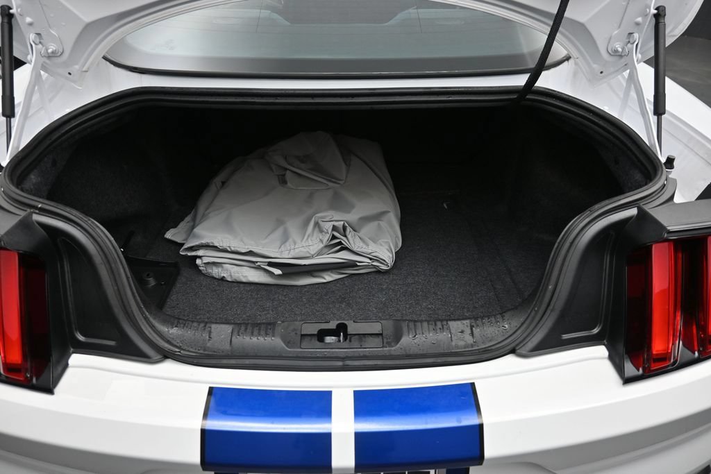 Certified 2017 Ford Mustang Shelby GT350 RWD image 24