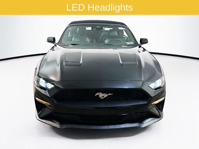 Certified 2023 Ford Mustang Premium RWD image 2