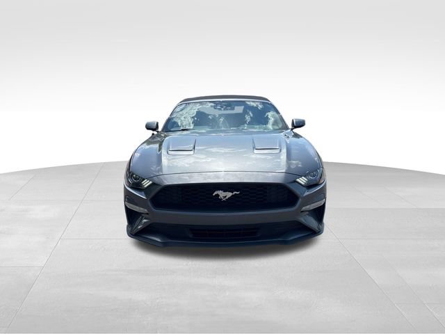 Certified 2023 Ford Mustang Premium w/ Equipment Group 201A image 8