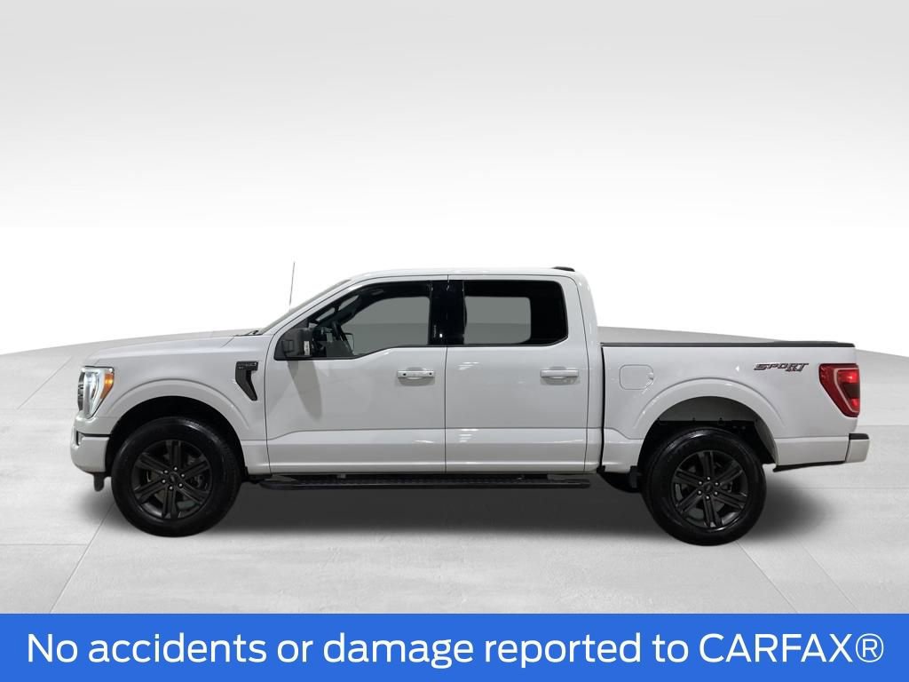 Certified 2023 Ford F150 XLT w/ Equipment Group 302A High image 6