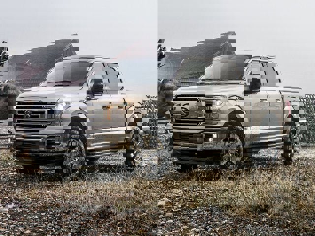 Certified 2019 Ford F150 XLT w/ Equipment Group 302A Luxury image 1