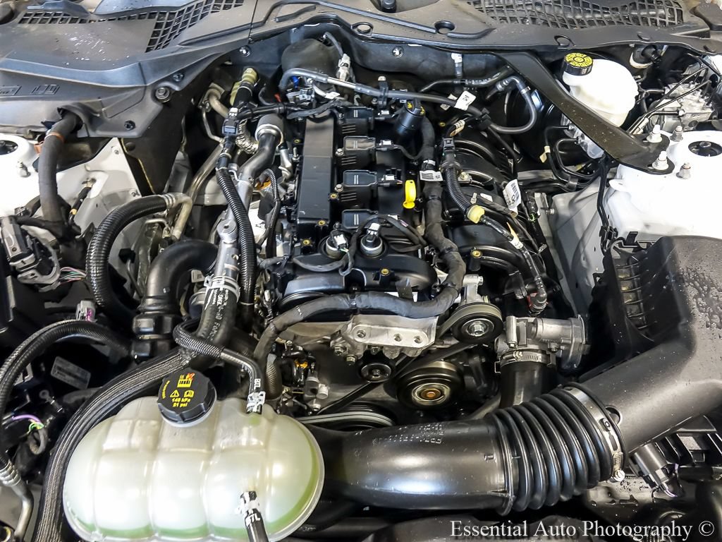 Certified 2023 Ford Mustang Premium w/ Equipment Group 201A RWD image 23