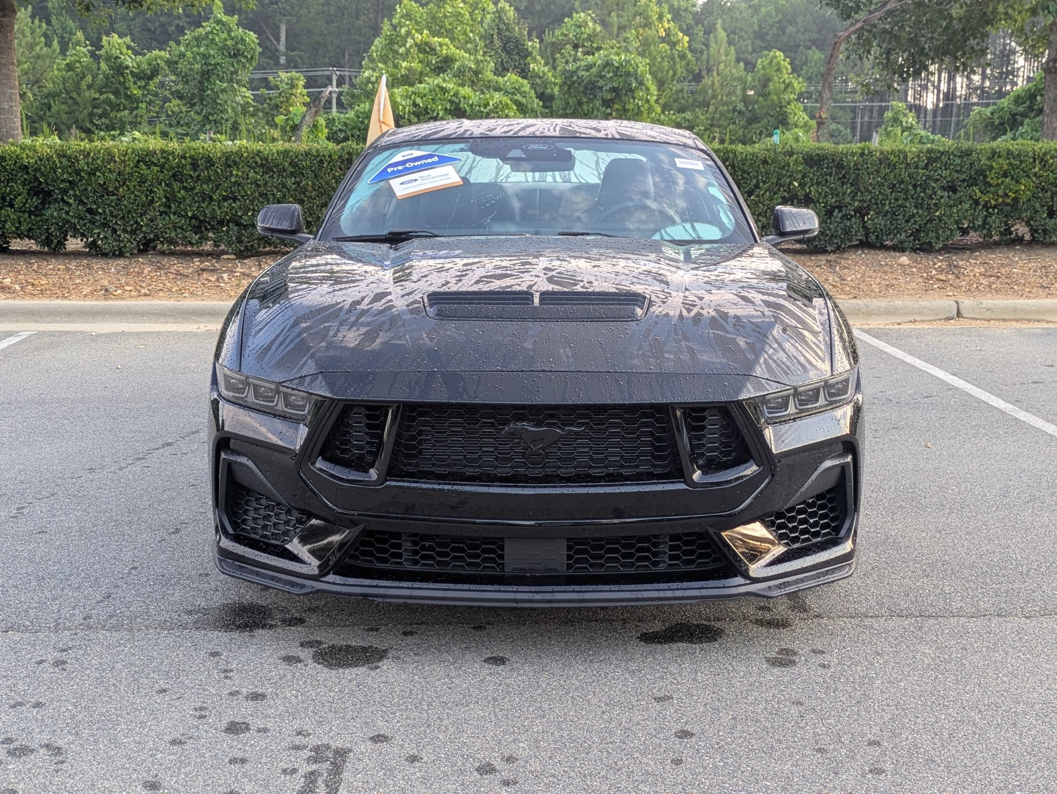 Certified 2024 Ford Mustang GT Premium w/ GT Performance Package RWD image 9
