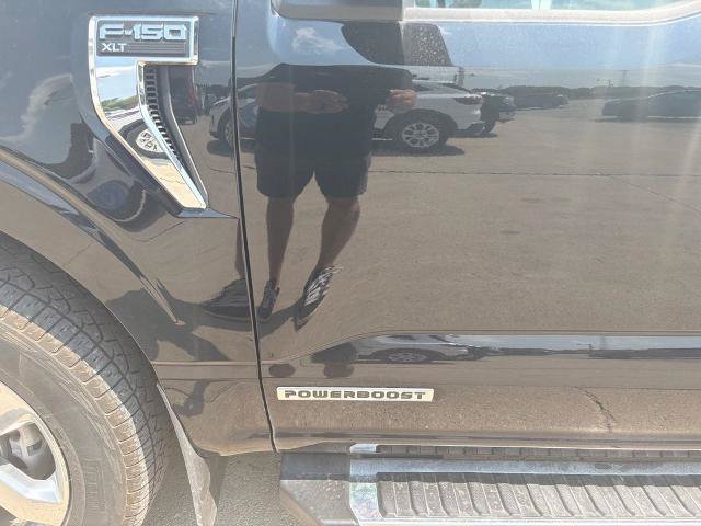 Certified 2023 Ford F150 XLT w/ Equipment Group 302A High AWD/4WD image 7