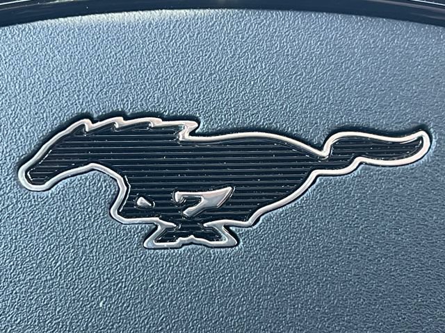 Certified 2024 Ford Mustang Mach-E GT w/ Bronze Appearance Package AWD/4WD image 13