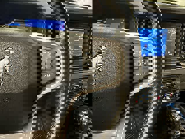 Certified 2022 Ford Bronco Black Diamond image 13