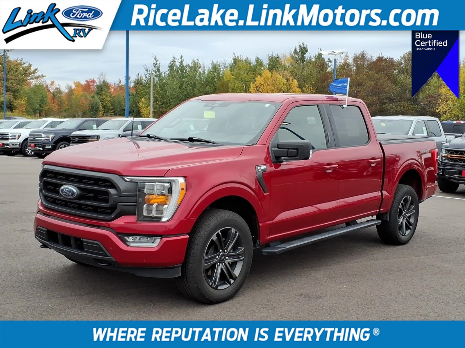 Certified 2022 Ford F150 XLT w/ Equipment Group 302A High AWD/4WD image 1