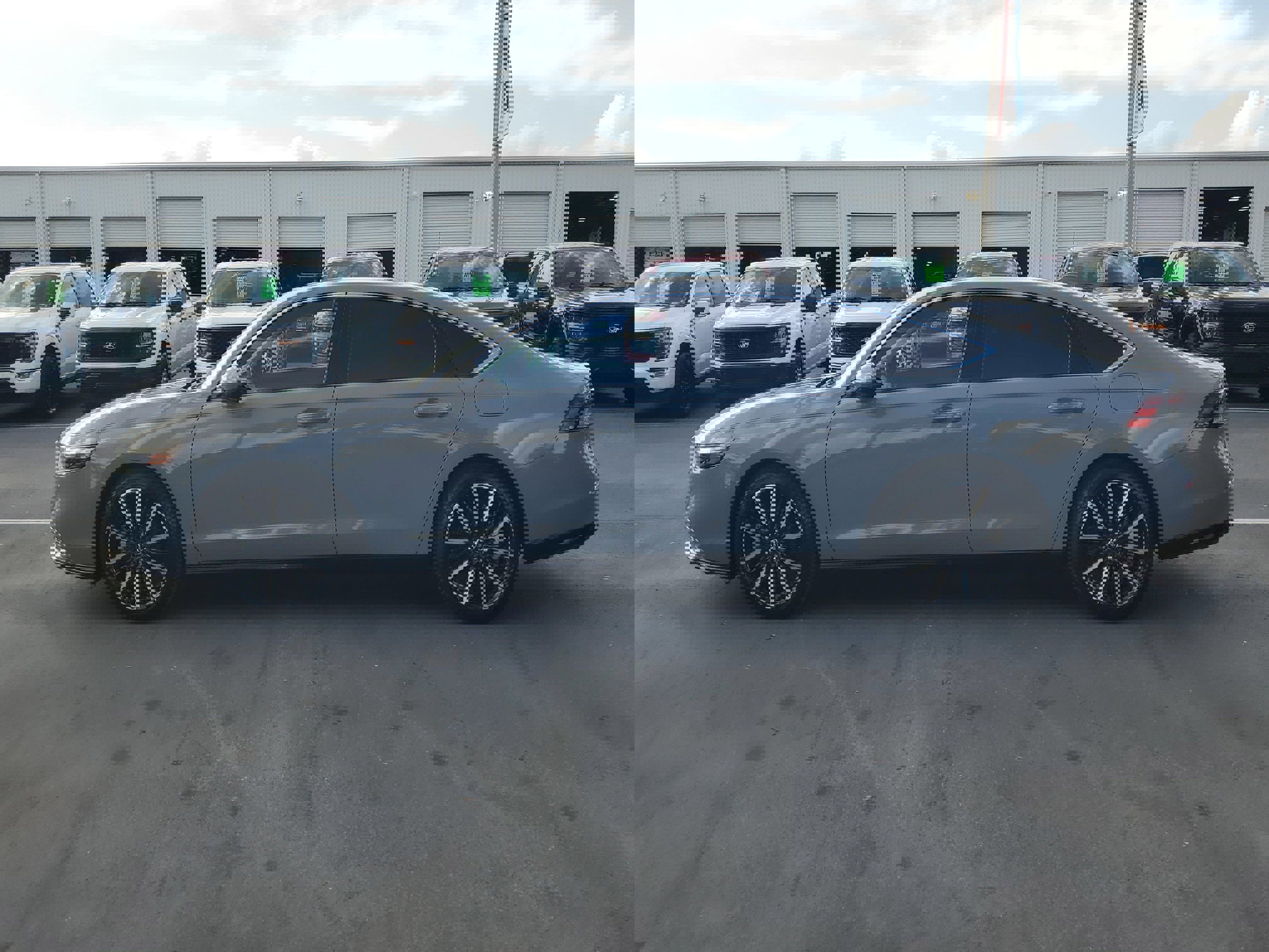 Used 2024 Honda Accord Touring image 6