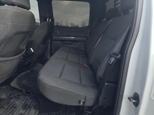 Certified 2023 Ford F150 XLT w/ Equipment Group 302A High image 6