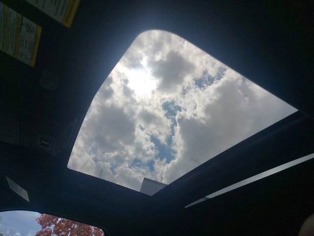 Certified 2019 Ford F150 Platinum w/ Equipment Group 701A Luxury image 29