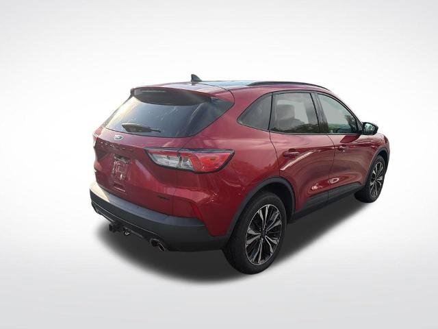 Certified 2022 Ford Escape SEL w/ SEL Stealth AWD Package image 3