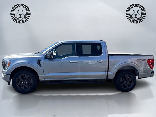 Certified 2023 Ford F150 XLT w/ Equipment Group 302A High AWD/4WD image 2