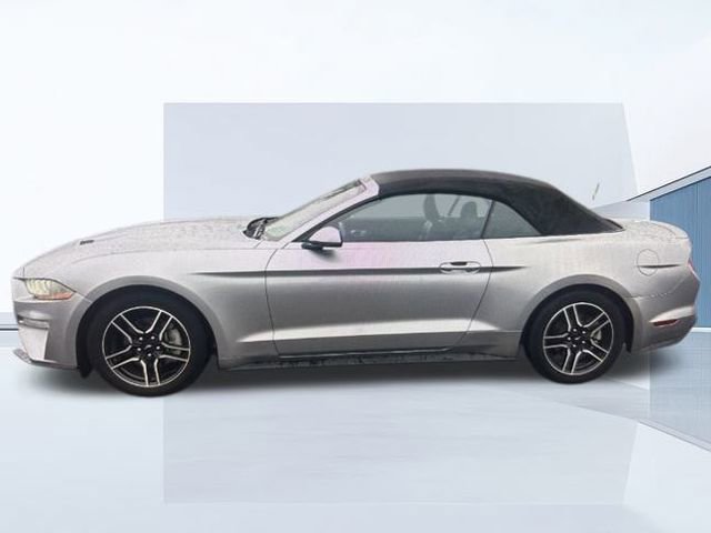 Certified 2023 Ford Mustang Premium image 3