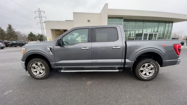 Certified 2023 Ford F150 XLT w/ Equipment Group 301A Mid image 6