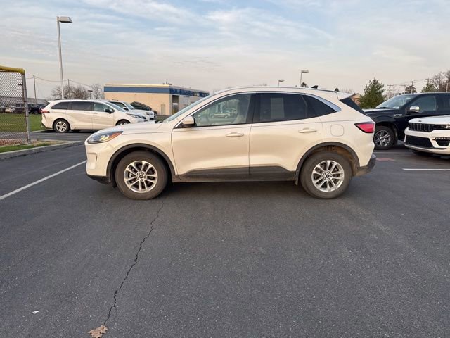 Certified 2020 Ford Escape SE image 2