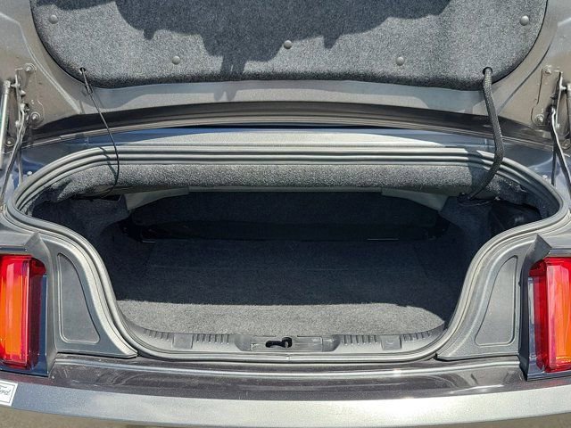 Certified 2017 Ford Mustang Premium w/ Equipment Group 201A image 11