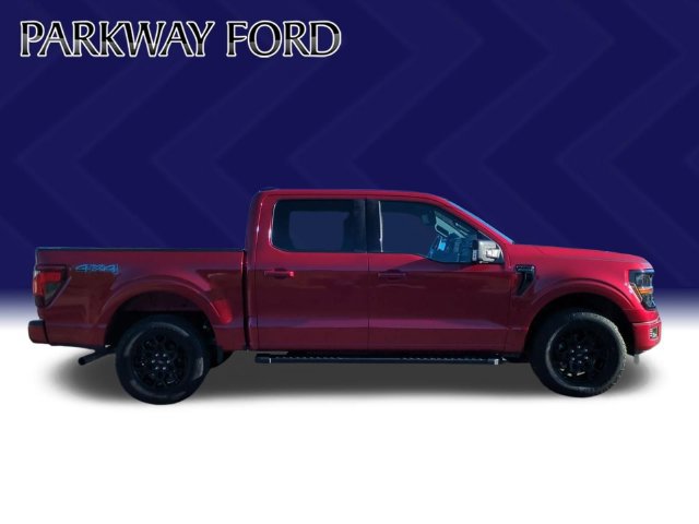 Certified 2024 Ford F150 XLT w/ Equipment Group 302A MID AWD/4WD image 6